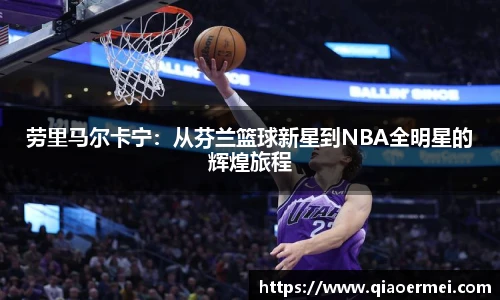 芒果体育官网入口