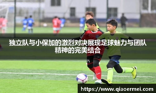 芒果体育pp下载